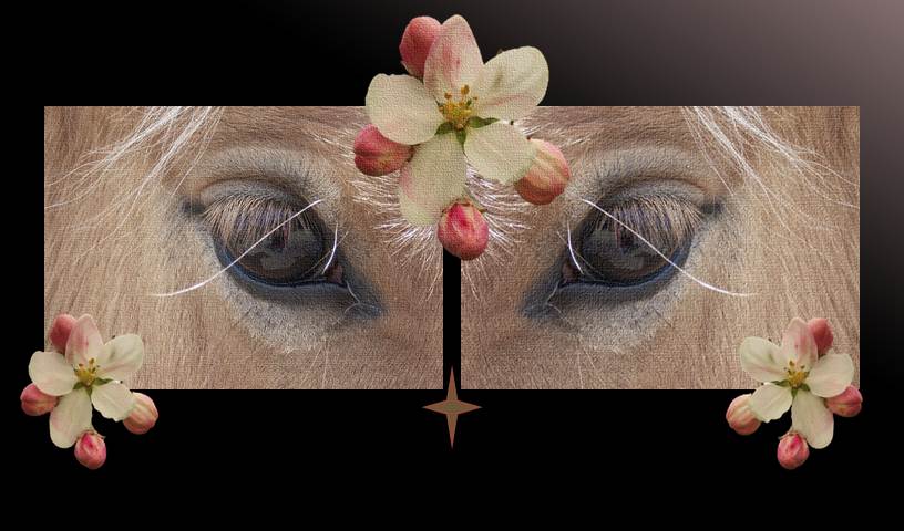 Eye for an Eye Diane Lynn McGyver