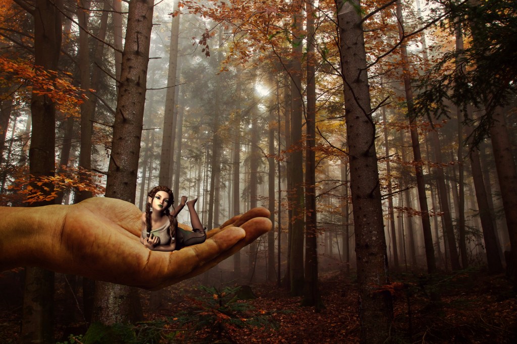 Pixabay photo hauflin in the hand