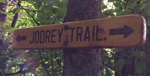 Jodrey Hiking Trail Blomidon