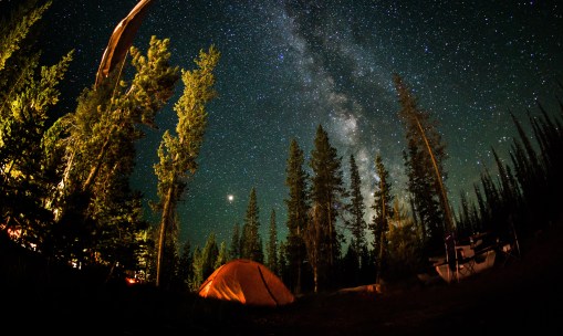 From Pixabay https://pixabay.com/photos/night-star-starry-sky-galaxy-4849541/